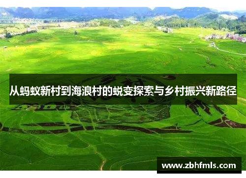 从蚂蚁新村到海浪村的蜕变探索与乡村振兴新路径